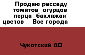 Продаю рассаду томатов, огурцов, перца, баклажан, цветов  - Все города  »    . Чукотский АО